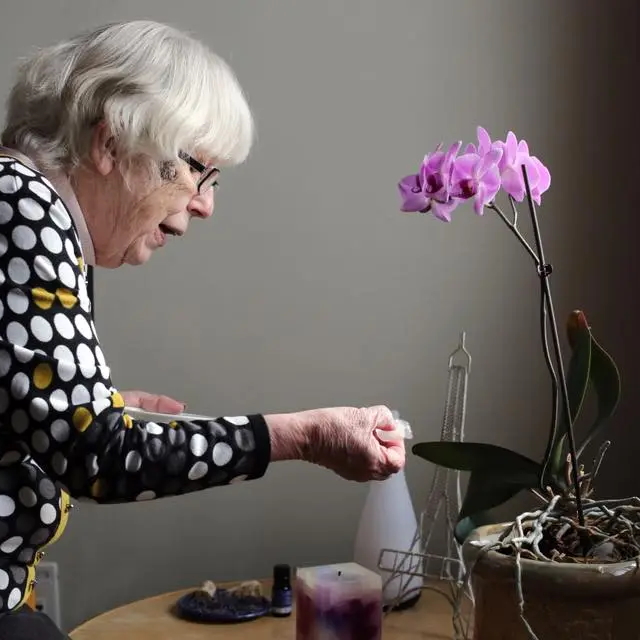 The Joys of Watering the Orchid