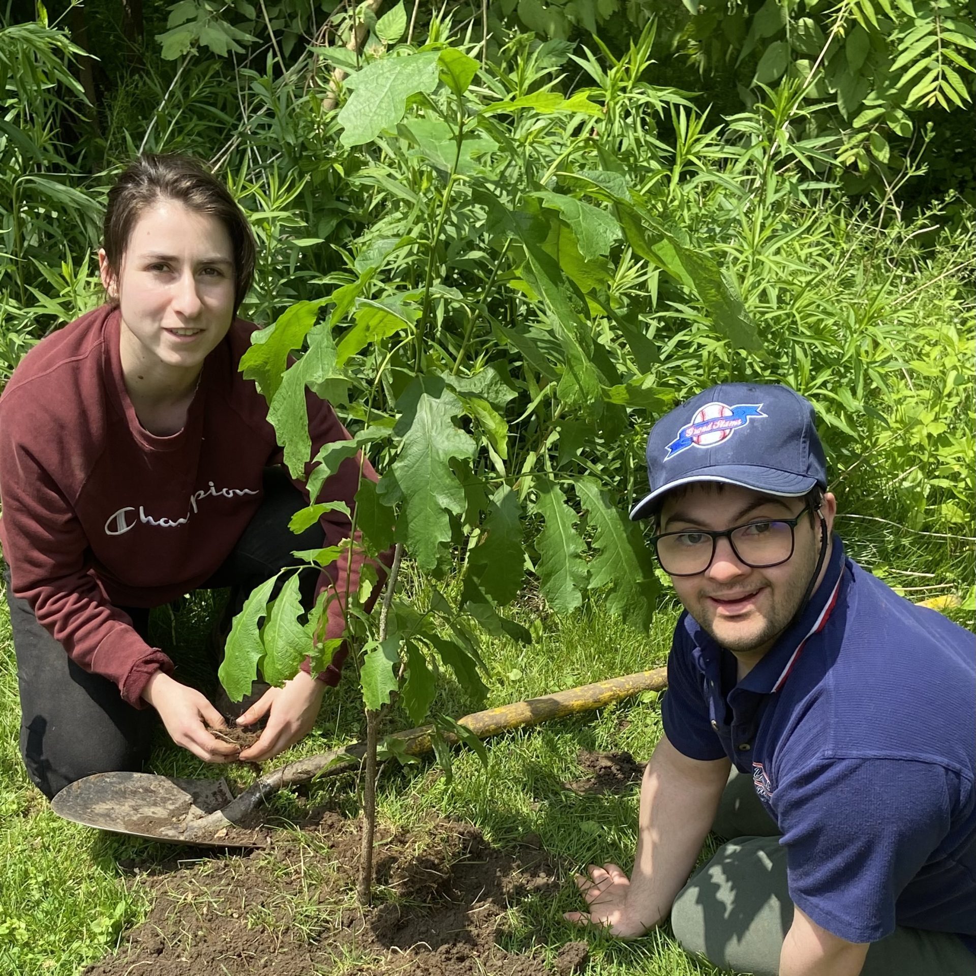 community-landing-banner